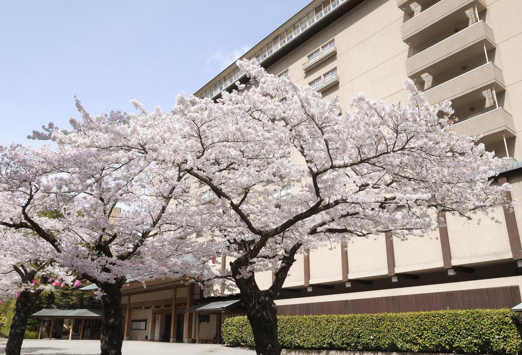 Suimeikan Gero Eksteriør bilde Sakura trees in full bloom